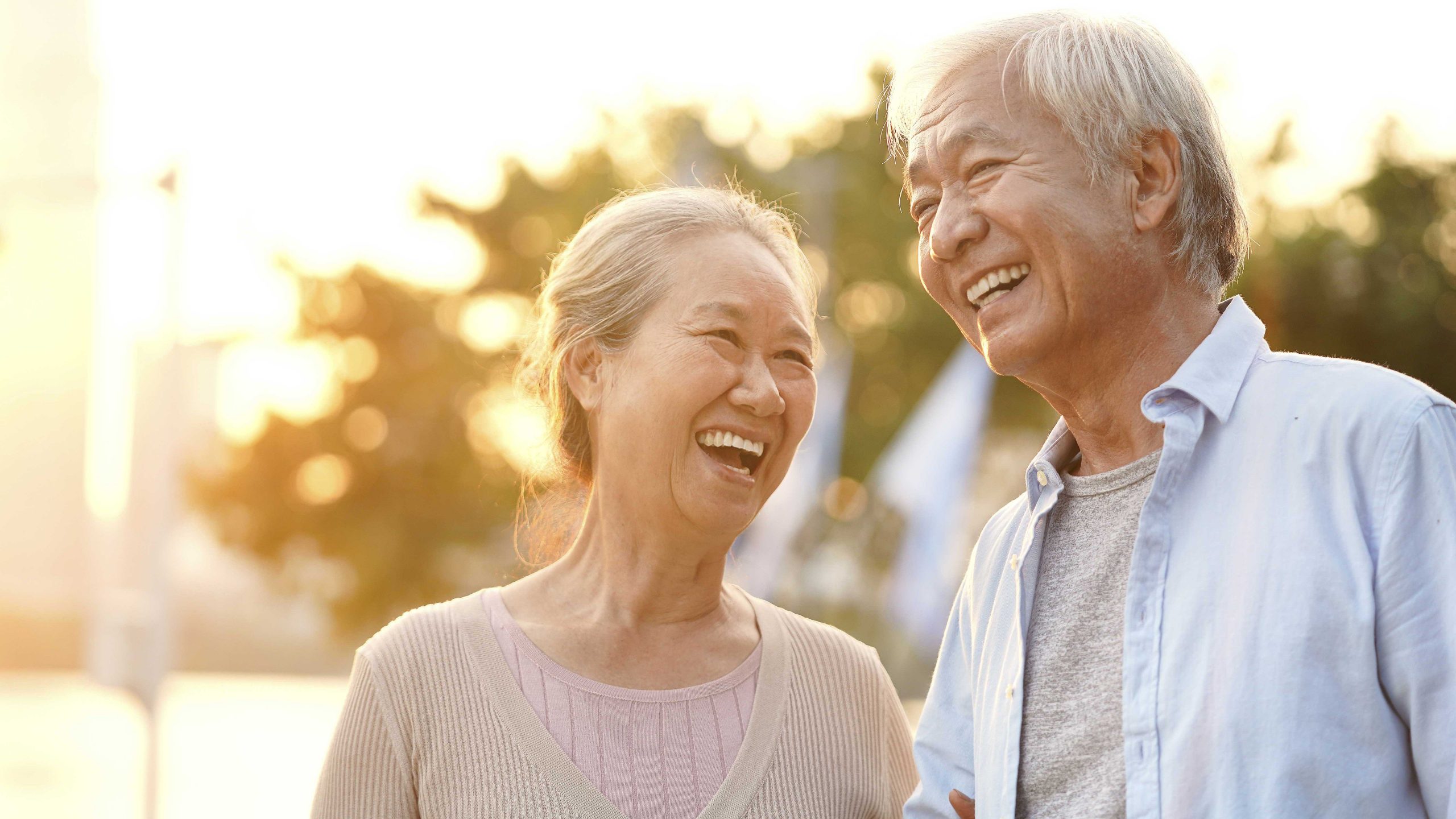 Happy Senior Couple in the Sunshine